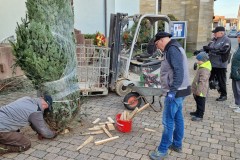 20221124-Erlenbach_Christbaum_stellen_009