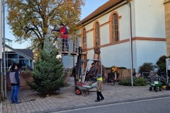 20221124-Erlenbach_Christbaum_stellen_011