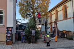 20221124-Erlenbach_Christbaum_stellen_012