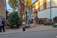 20221124-Erlenbach_Christbaum_stellen_016