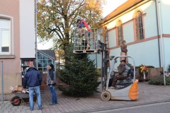 20221124-Erlenbach_Christbaum_stellen_019