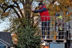 20221124-Erlenbach_Christbaum_stellen_020