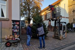 20221124-Erlenbach_Christbaum_stellen_024