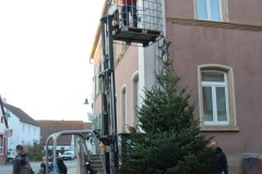 20221124-Erlenbach_Christbaum_stellen_026