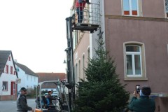 20221124-Erlenbach_Christbaum_stellen_027