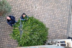 20221124-Erlenbach_Christbaum_stellen_033