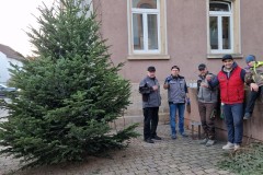 20221124-Erlenbach_Christbaum_stellen_035