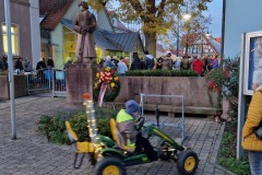 20221126-Erlenbach_Christbaum_schmuecken_002