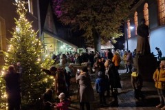 20221126-Erlenbach_Christbaum_schmuecken_055