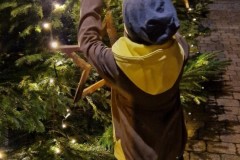 20221126-Erlenbach_Christbaum_schmuecken_058