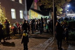 20221126-Erlenbach_Christbaum_schmuecken_060