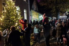 20221126-Erlenbach_Christbaum_schmuecken_061