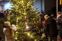 20221126-Erlenbach_Christbaum_schmuecken_063