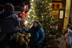 20221126-Erlenbach_Christbaum_schmuecken_064