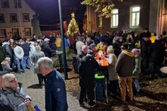 20221126-Erlenbach_Christbaum_schmuecken_068