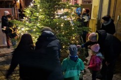 20221126-Erlenbach_Christbaum_schmuecken_071