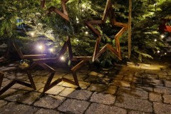 20221126-Erlenbach_Christbaum_schmuecken_075