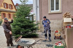 20230106_Erlenbach_Christbaum_002