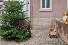 20230106_Erlenbach_Christbaum_003