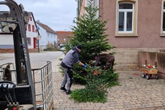 20230106_Erlenbach_Christbaum_004