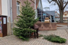 20230106_Erlenbach_Christbaum_005